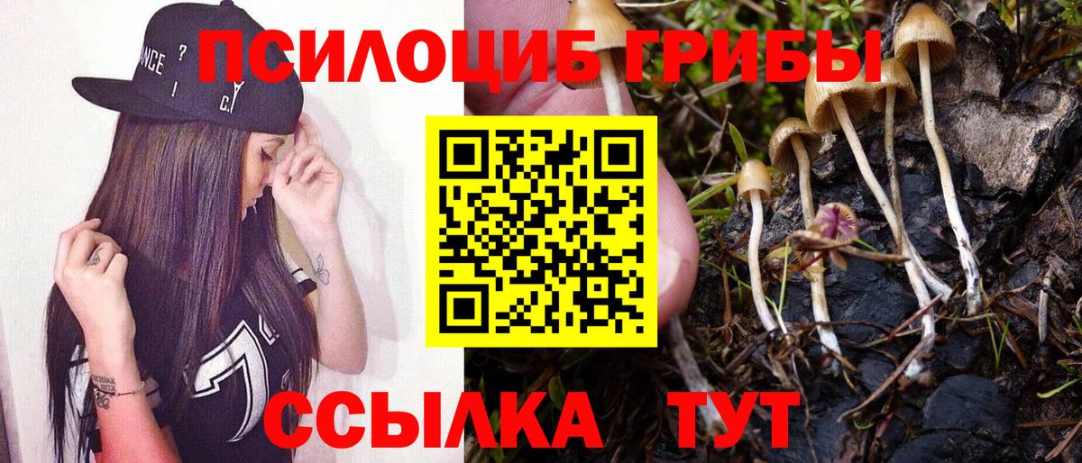 Псилоцибиновые грибы прущие грибы Киров