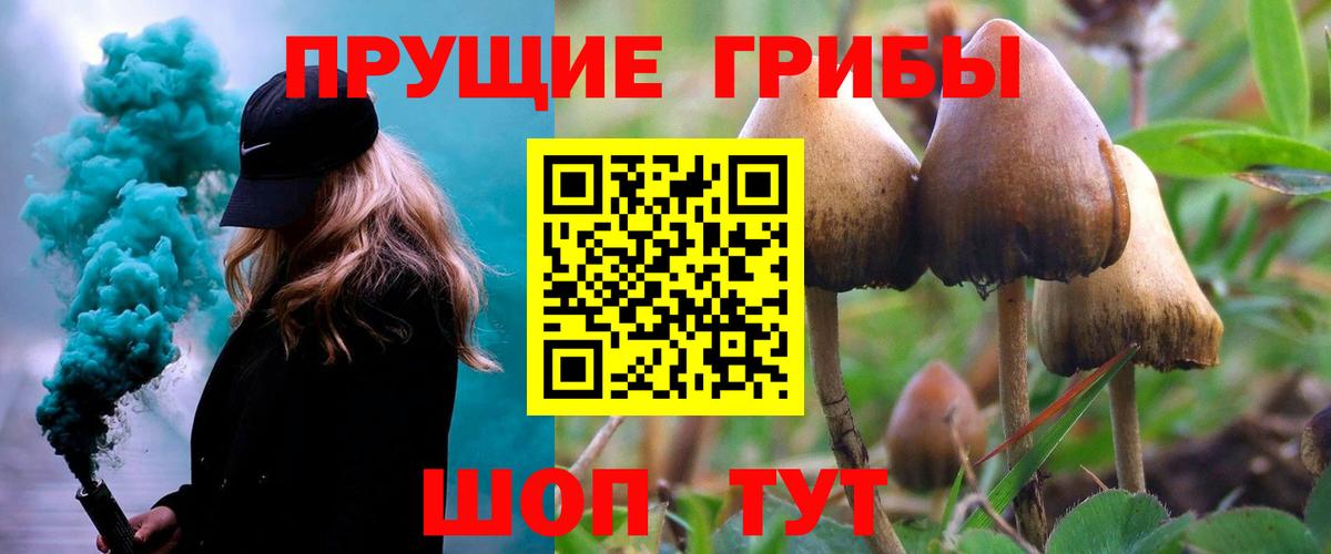 Киров  купить закладку  Псилоцибиновые грибы мухоморы  Вход с VPN  Галлюциногенные грибы мухоморы 